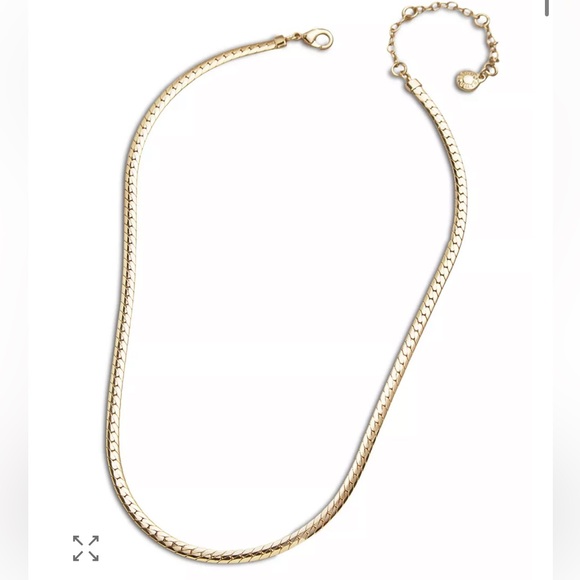 BaubleBar Jewelry - Baublebar Stevie Flat Chain Necklace, 16" NWT